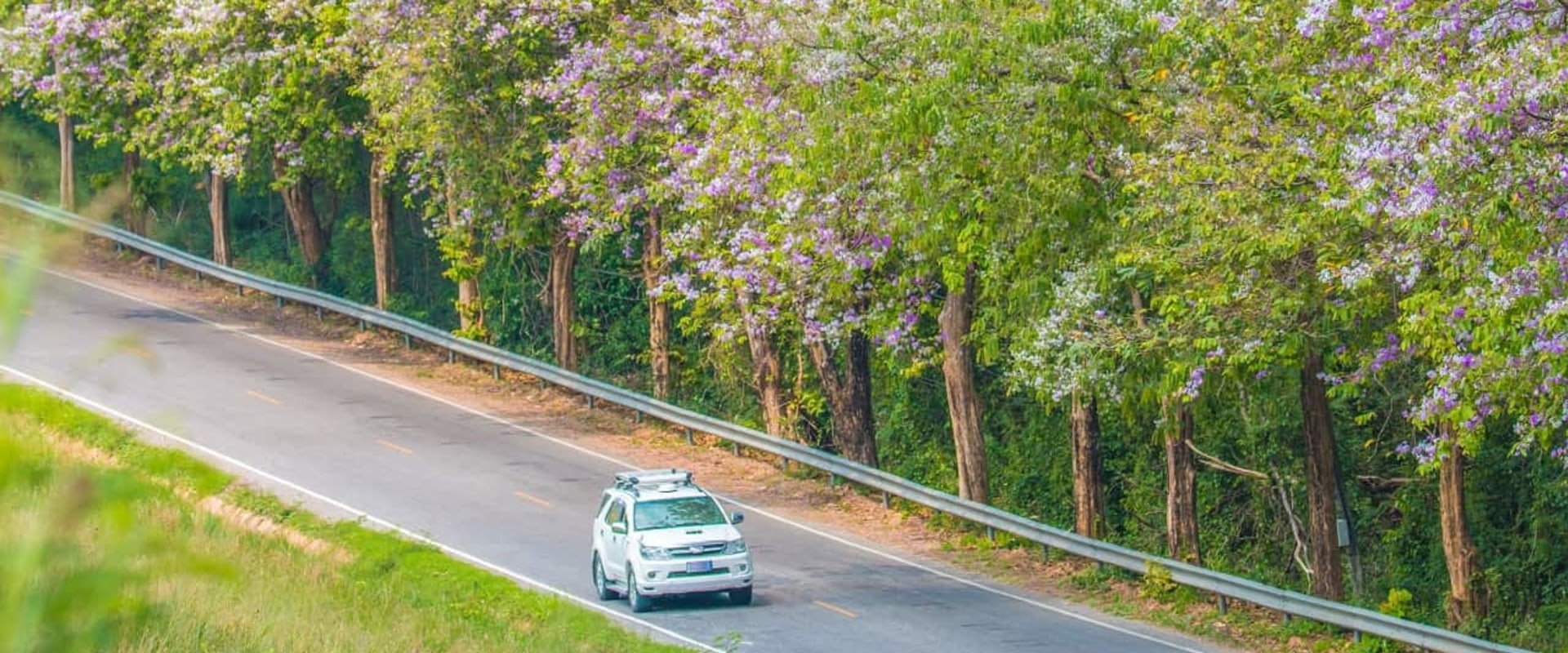 Cheap Moving Companies in Massachusetts