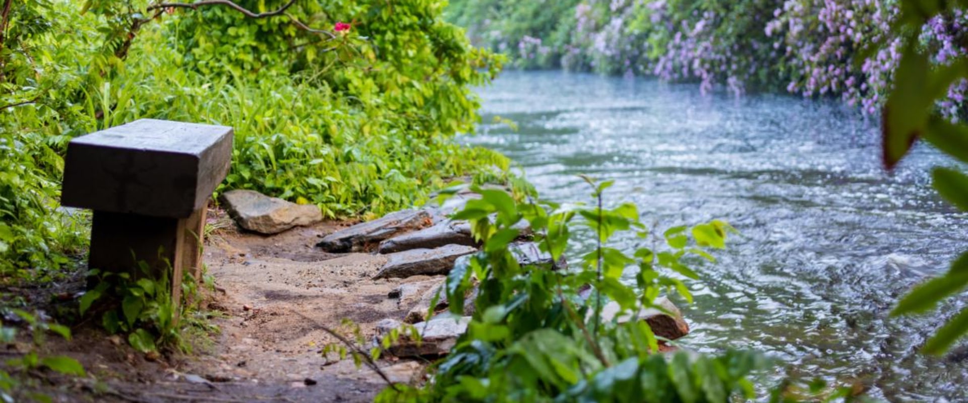 Exploring the Outdoors in Massachusetts