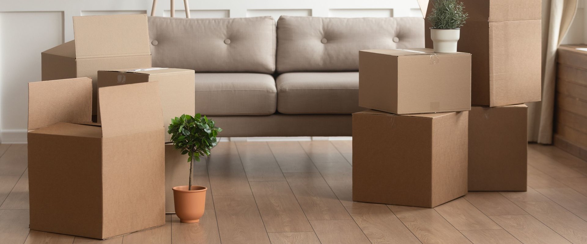 Furniture Movers in Massachusetts