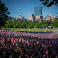 The Ultimate Guide to Massachusetts Relocation Services