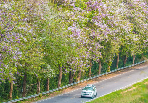 Cheap Moving Companies in Massachusetts